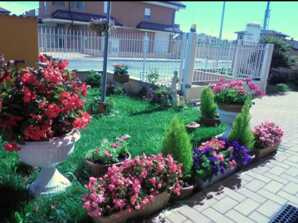 18_ridimensiona