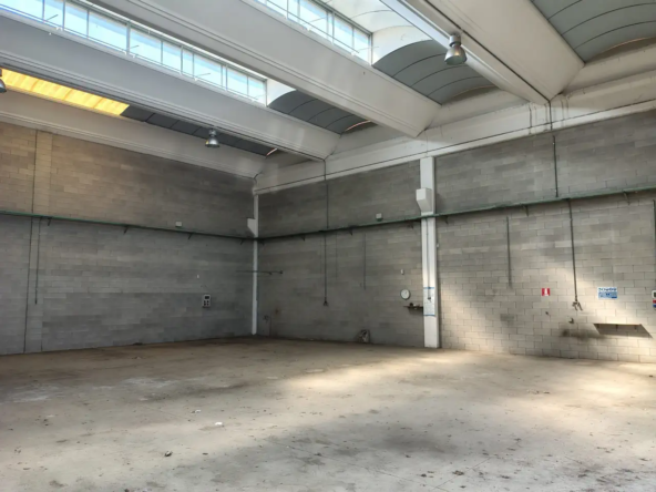 7_ridimensiona