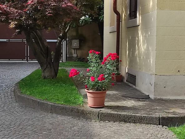 8_ridimensiona