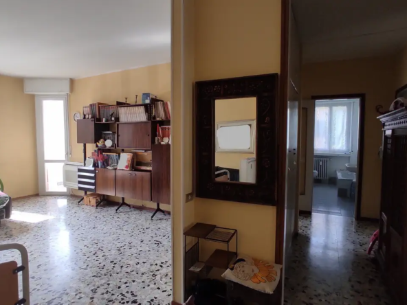 12_ridimensiona
