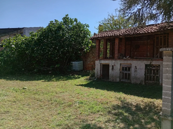 12_ridimensiona