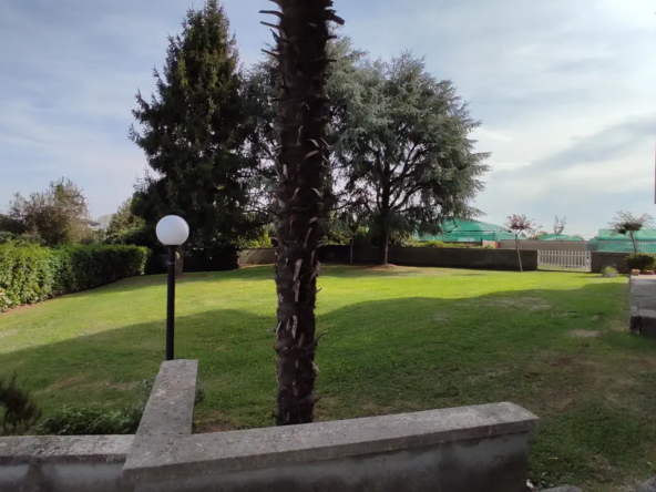 3_ridimensiona